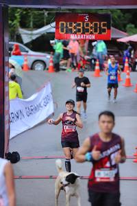 BIB: 043905, 7052
                            <button type="button" onclick="openModal(5745806)" class="btn btn-primary btn-sm float-right btn-popup" data-toggle="modal" data-target=".modal-high-quality">
                        <i class="fas fa-shopping-cart"></i> Add to Cart
                    </button>
                                            <button type="button" onclick="isThisMe(5745806, true)" class="btn btn-success btn-sm float-right btn-popup btn-isme hidden" data-toggle="tooltip" data-placement="bottom" title="นี่คือรูปของคุณใช่ไหม คลิกที่นี่เพื่อเอาเข้าอัลบั้ม">
                        <i class="fas fa-plus"></i> Add to album
                    </button>
                    <button type="button" onclick="isThisMe(5745806, false)" class="btn btn-warning btn-sm float-right btn-popup btn-isnotme hidden">
                        <i class="fas fa-ban"></i> Remove from album
                    </button>